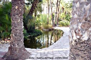 19 ELCHE HUERTO DEL CURA (61)